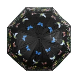 Regenschirm farbverändernd