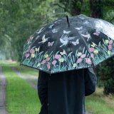 Regenschirm farbverändernd