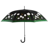 Regenschirm farbverändernd
