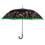 Regenschirm farbverändernd