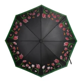 Regenschirm farbverändernd