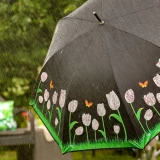 Regenschirm farbverändernd