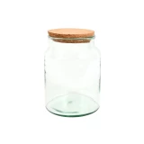 Terrarium