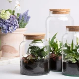 Terrarium