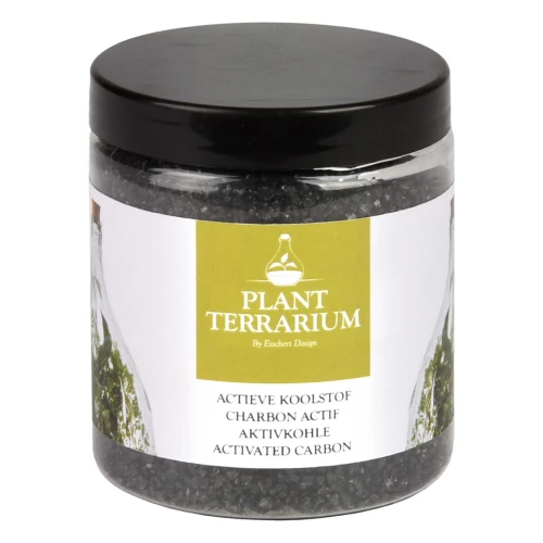 Terrarium 'Aktivkohle'