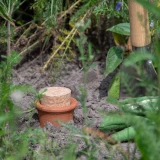 Bewässerungstopf 'Olla'