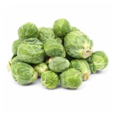 Setzlinge 'Rosenkohl'
