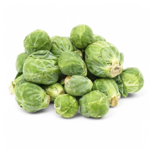 Setzlinge 'Rosenkohl'