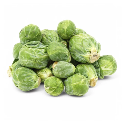 Setzlinge 'Rosenkohl'
