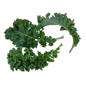 Setzlinge 'Federkohl'