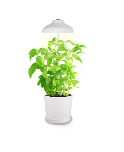 Pflanzenleuchte LED 'GoLeaf'