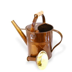 Giesskanne 5l 'Holzgriff'