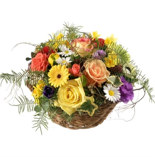 Bunte Sommerfrische