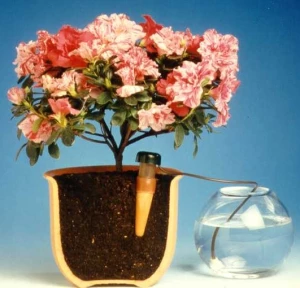 Blumat - Automatischer Wasserspender