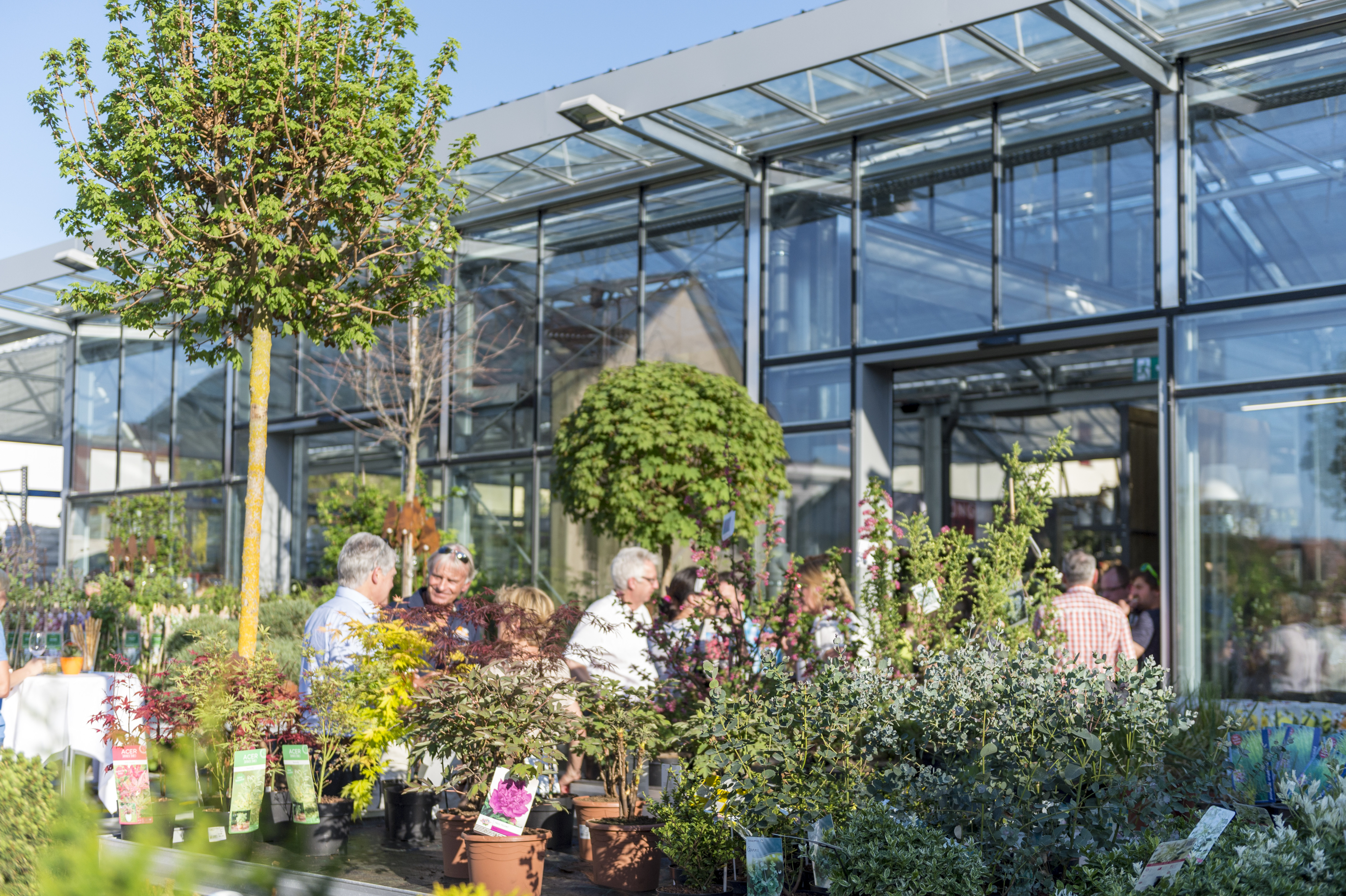 Gartencenter Kueng Frauenfeld 1